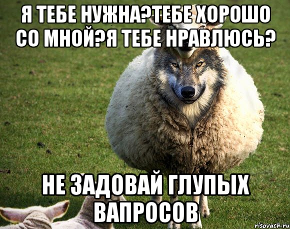 я тебе нужна?тебе хорошо со мной?я тебе нравлюсь? не задовай глупых вапросов, Мем Злая Овца