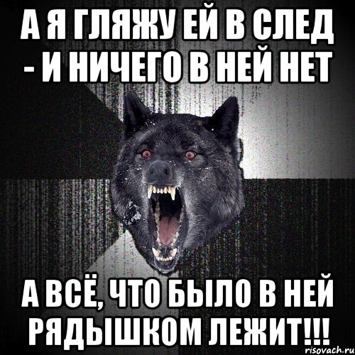 А я гляжу ей в след - И ничего в ней нет А всё, что было в ней РЯДЫШКОМ ЛЕЖИТ!!!, Мем  Злобный волк