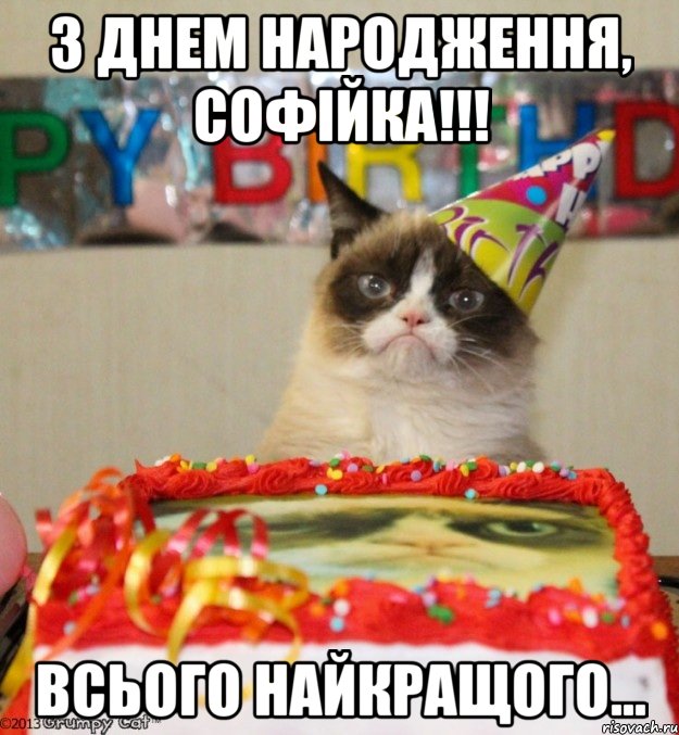 З Днем народження, Софійка!!! всього найкращого..., Мем Злой кот