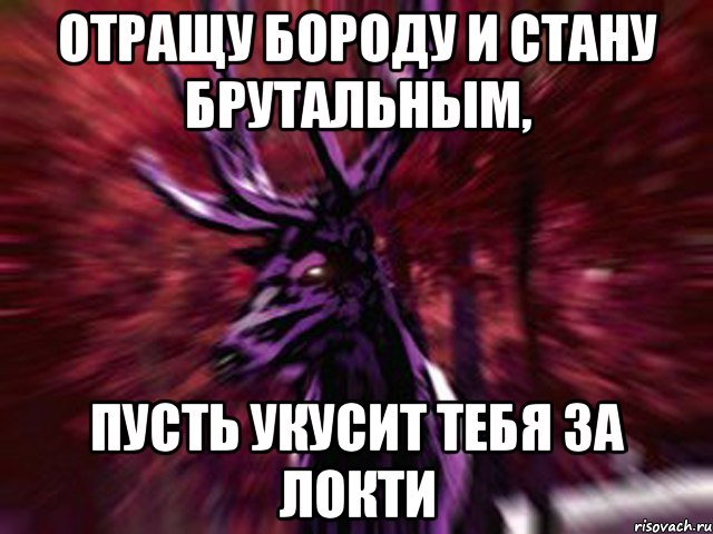 Отращу бороду и стану брутальным, пусть укусит тебя за локти, Мем ЗЛОЙ ОЛЕНЬ