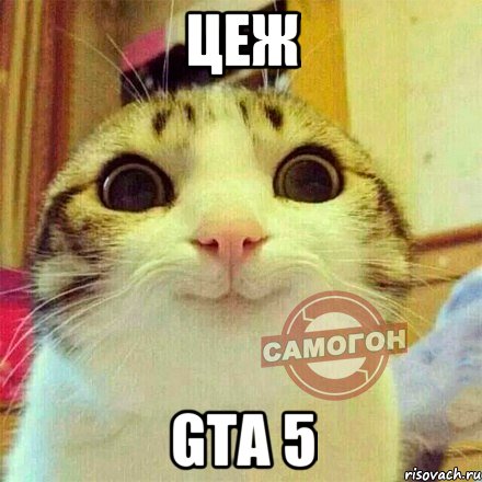 цеж GTA 5, Мем 12