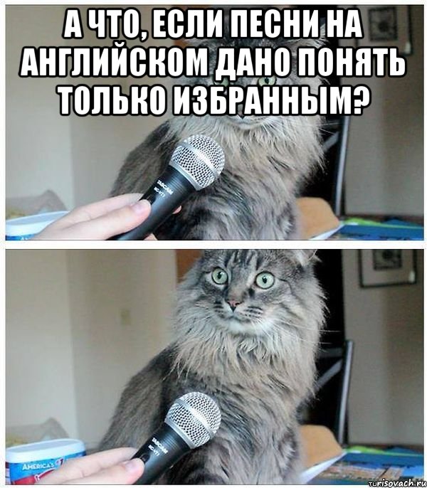 А что, если песни на английском дано понять только избранным? , Комикс  кот с микрофоном