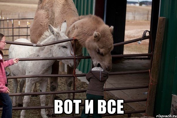  ВОТ И ВСЕ, Мем 1