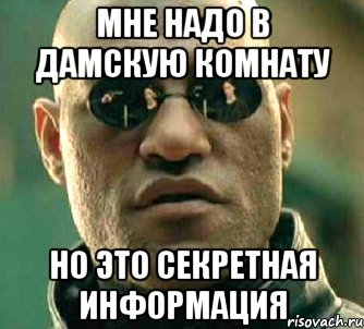 мне надо в дамскую комнату но это секретная информация, Мем  а что если я скажу тебе