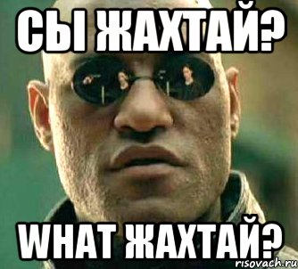 Сы жахтай? What жахтай?, Мем  а что если я скажу тебе