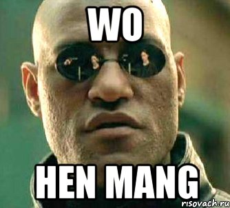 Wo Hen mang, Мем  а что если я скажу тебе