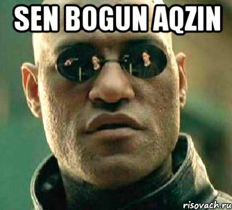 Sen Bogun Aqzin 