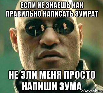 если не знаешь как правильно написать Зумрат не зли меня просто напиши Зума, Мем  а что если я скажу тебе