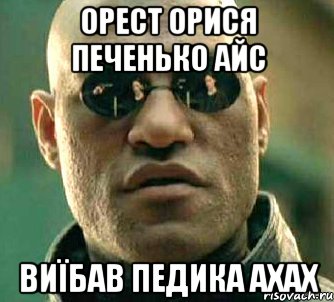 орест орися печенько айс виїбав педика ахах, Мем  а что если я скажу тебе