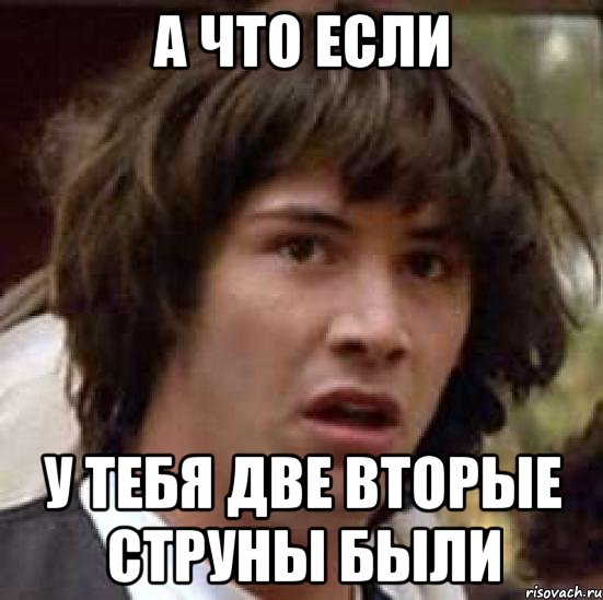 А ЧТО ЕСЛИ У ТЕБЯ ДВЕ ВТОРЫЕ СТРУНЫ БЫЛИ, Мем А что если (Киану Ривз)