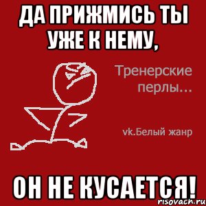 Да прижмись ты уже к нему, он не кусается!