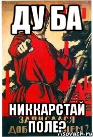 Ду ба Никкарстай поле?