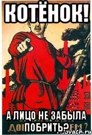 КОТЁНОК! А ЛИЦО НЕ ЗАБЫЛА ПОБРИТЬ?
