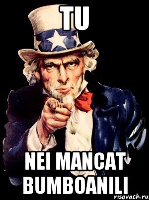 Tu nei mancat bumboanili, Мем а ты