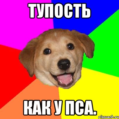 ТУПОСТЬ КАК У ПСА., Мем Advice Dog