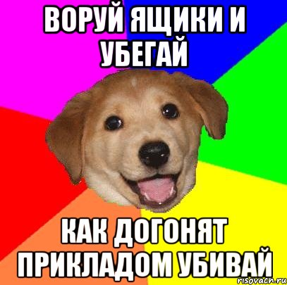 Воруй ящики и убегай как догонят прикладом убивай, Мем Advice Dog