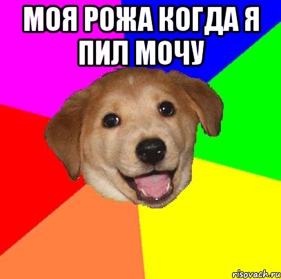 Моя рожа когда я пил мочу , Мем Advice Dog