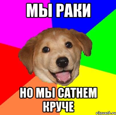 МЫ РАКИ НО МЫ САТНЕМ КРУЧЕ, Мем Advice Dog