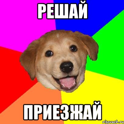 Решай Приезжай, Мем Advice Dog