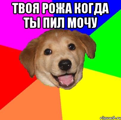 твоя рожа когда ты пил мочу , Мем Advice Dog