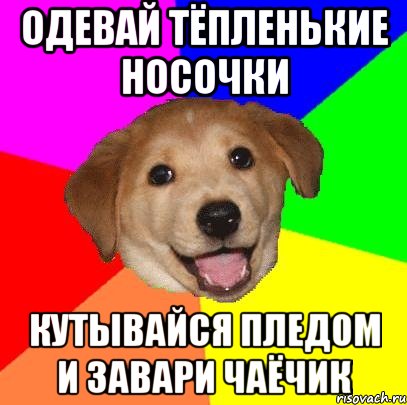 одевай тёпленькие носочки кутывайся пледом и завари чаёчик, Мем Advice Dog