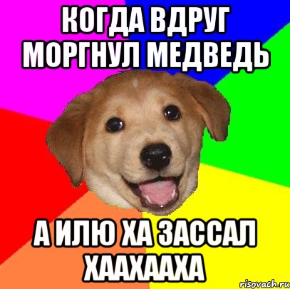 Когда вдруг моргнул медведь А илю ха зассал ХАахааХА, Мем Advice Dog