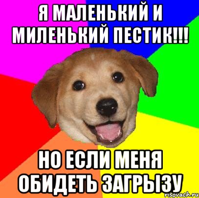 Я маленький и миленький пестик!!! но если меня обидеть загрызу, Мем Advice Dog