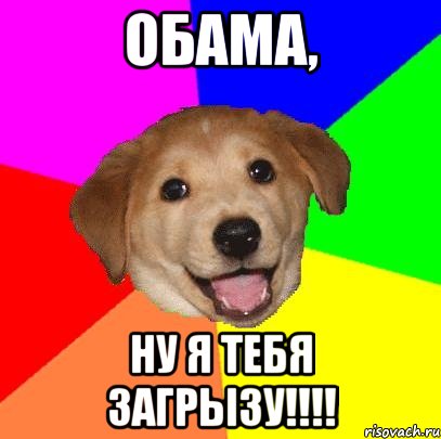 ОБАМА, ну я тебя загрызу!!!!, Мем Advice Dog