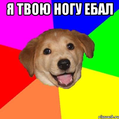 Я Твою Ногу Ебал , Мем Advice Dog