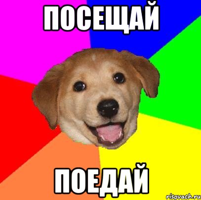 посещай поедай, Мем Advice Dog