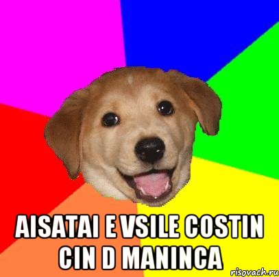  aisatai e vsile costin cin d maninca, Мем Advice Dog