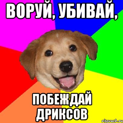 Воруй, убивай, побеждай дриксов, Мем Advice Dog