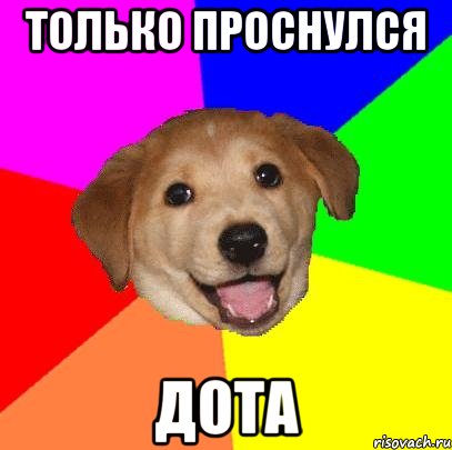 Только проснулся Дота, Мем Advice Dog