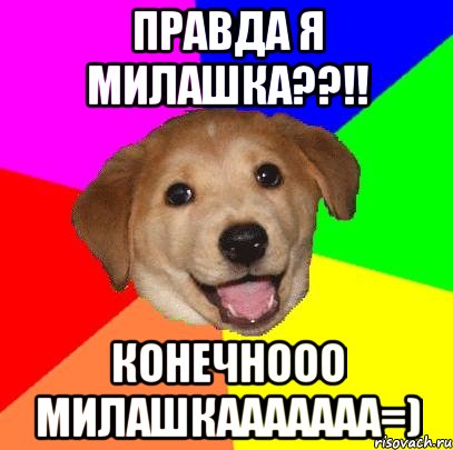 правда я милашка??!! Конечнооо милашкааааааа=), Мем Advice Dog