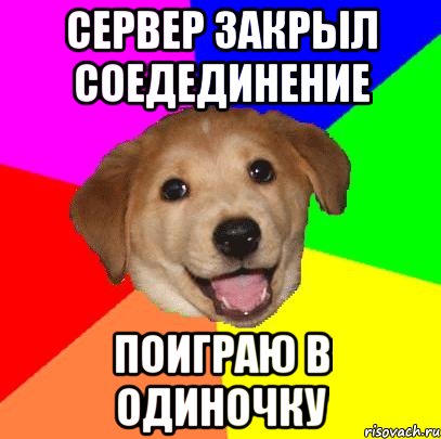 сервер закрыл соедединение поиграю в одиночку, Мем Advice Dog