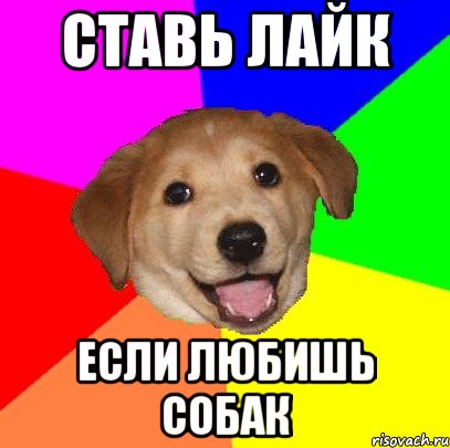 Ставь лайк если любишь собак, Мем Advice Dog