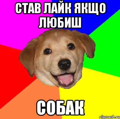 Став лайк якщо любиш СОБАК, Мем Advice Dog