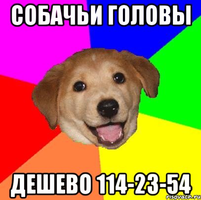 собачьи головы дешево 114-23-54, Мем Advice Dog