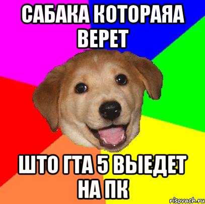 Сабака котораяа верет Што гта 5 выедет на пк, Мем Advice Dog