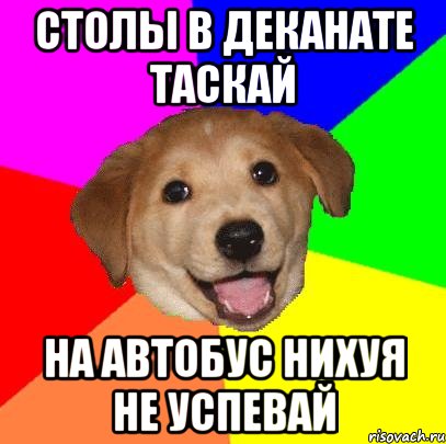 Столы в деканате таскай На автобус нихуя не успевай, Мем Advice Dog