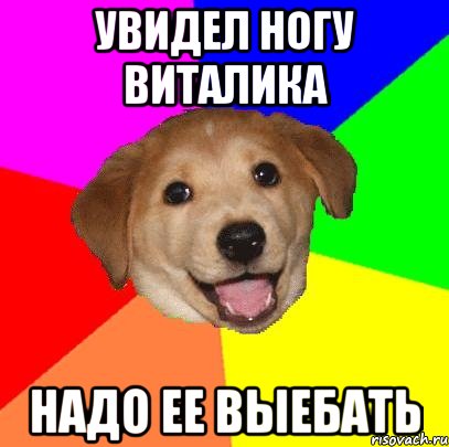 Увидел ногу Виталика надо ее выебать, Мем Advice Dog