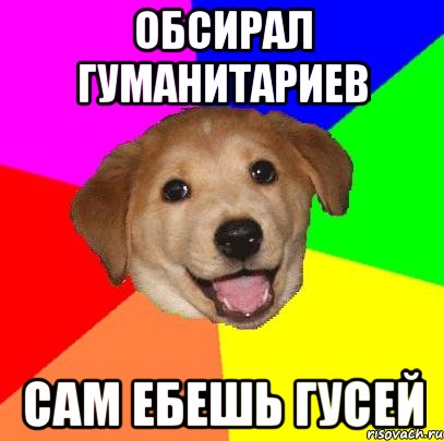 Обсирал гуманитариев Сам ебешь гусей, Мем Advice Dog