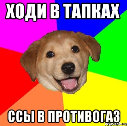 ходи в тапках ссы в противогаз, Мем Advice Dog