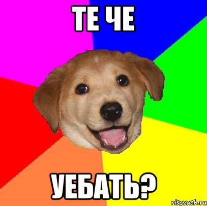 те че уебать?, Мем Advice Dog