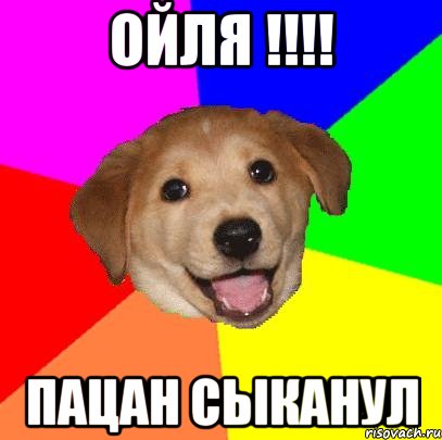 Ойля !!!! пацан сыканул, Мем Advice Dog