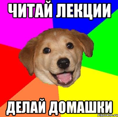 ЧИТАЙ ЛЕКЦИИ ДЕЛАЙ ДОМАШКИ, Мем Advice Dog