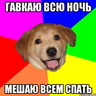 Гавкаю всю ночь Мешаю всем спать, Мем Advice Dog