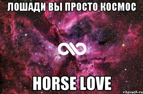 Лошади вы просто космос HORSE LOVE, Мем офигенно