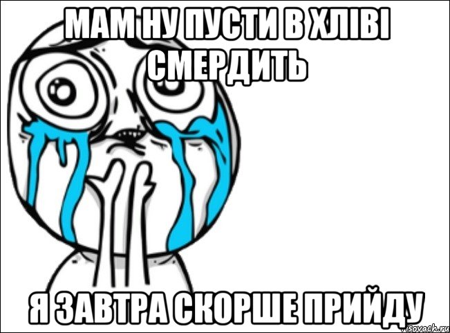 мам ну пусти в хліві смердить я завтра скорше прийду