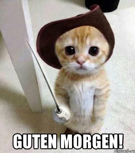  Guten Morgen!, Мем аыав
